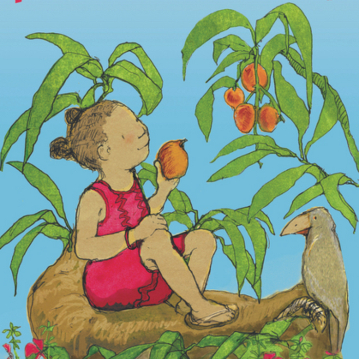 Anna Hibiscus I Atinuke