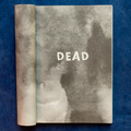 Ghost Boys I Jewell Parker Rhodes