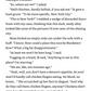 Rick Riordan Presents: Shadow Crosser, The-A Storm Runner Novel, Book 3 I J.C. Cervantes